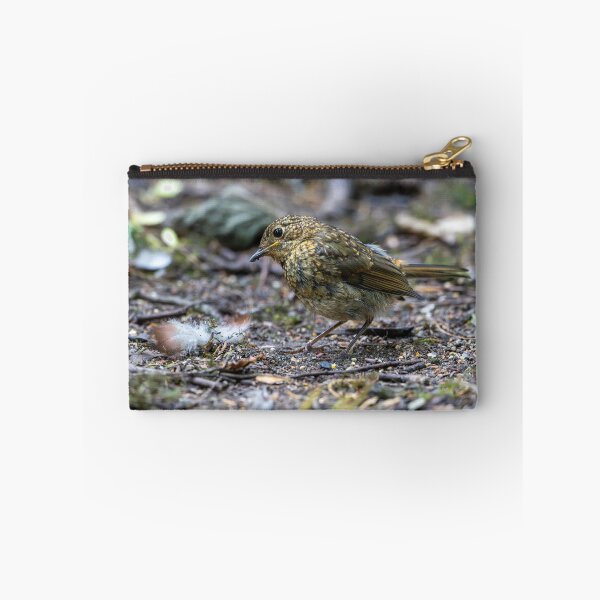 Item preview, Juvenile European robin (Erithacus rubecula) designed and sold by Stephen Jarman.