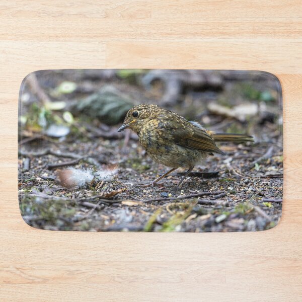 Item preview, Juvenile European robin (Erithacus rubecula) designed and sold by Stephen Jarman.
