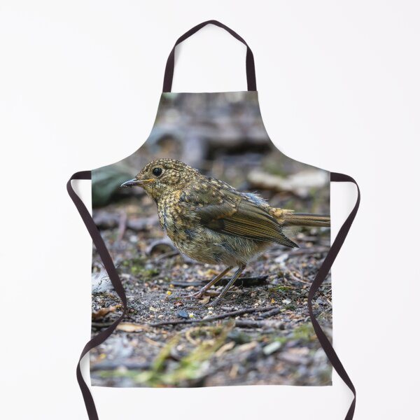 Item preview, Juvenile European robin (Erithacus rubecula) designed and sold by Stephen Jarman.
