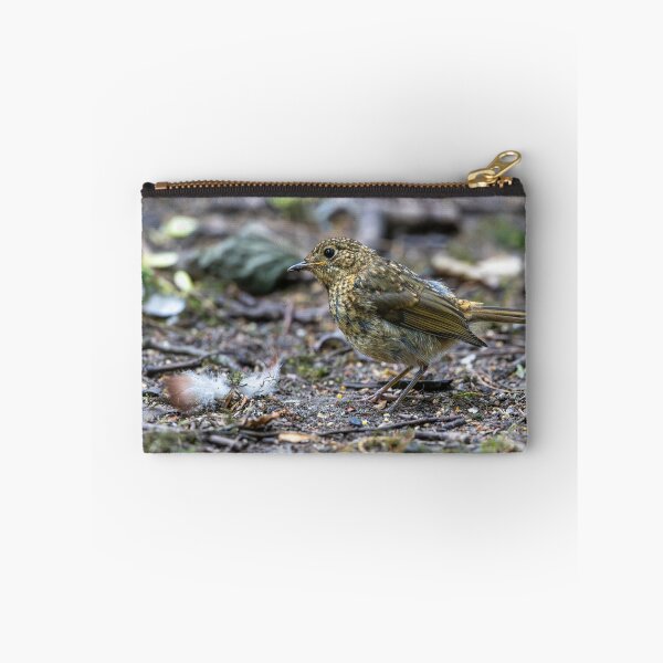 Item preview, Juvenile European robin (Erithacus rubecula) designed and sold by Stephen Jarman.