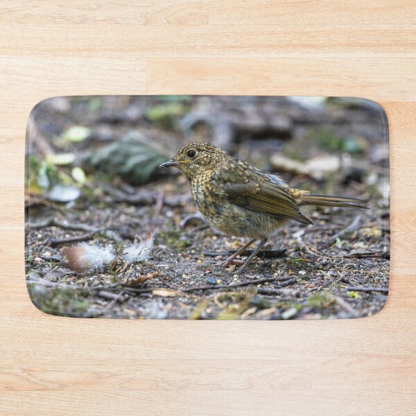 Item preview, Juvenile European robin (Erithacus rubecula) designed and sold by Stephen Jarman.