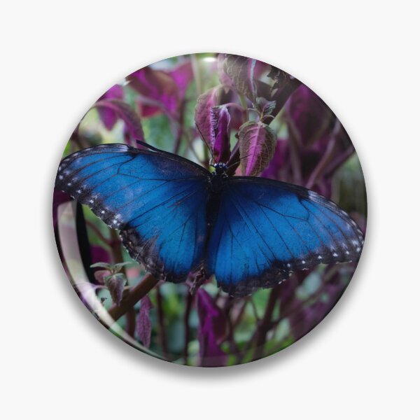 Item preview, Blue Morpho Butterfly designed and sold by Kmrphotostn.
