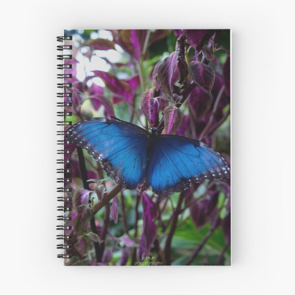 Item preview, Blue Morpho Butterfly designed and sold by Kmrphotostn.