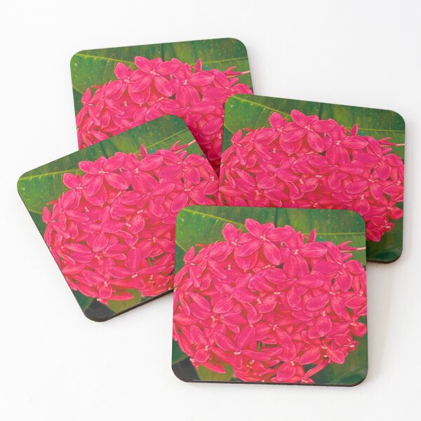 Item preview, Belize Flowers designed and sold by Swooncake Press.