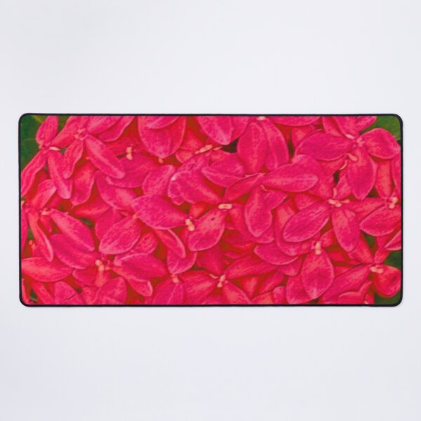 Item preview, Belize Flowers designed and sold by Swooncake Press.