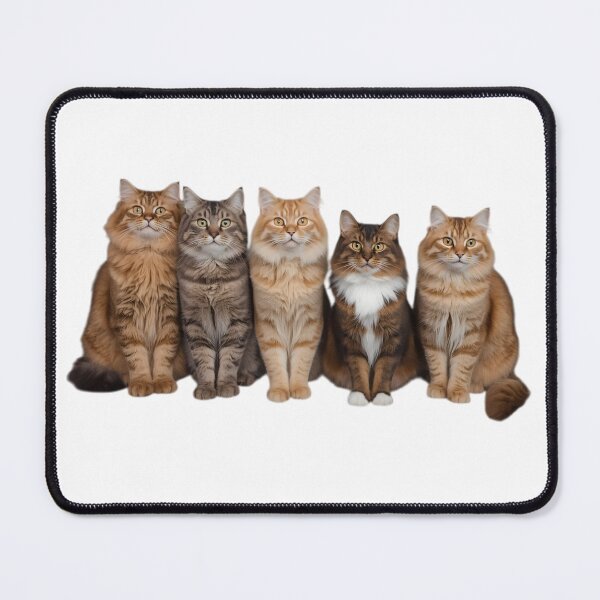 Item preview, Fluffy long-haired cats designed and sold by Agnisherl.