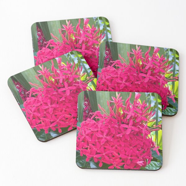 Item preview, Belize Pink Flowers designed and sold by Swooncake Press.