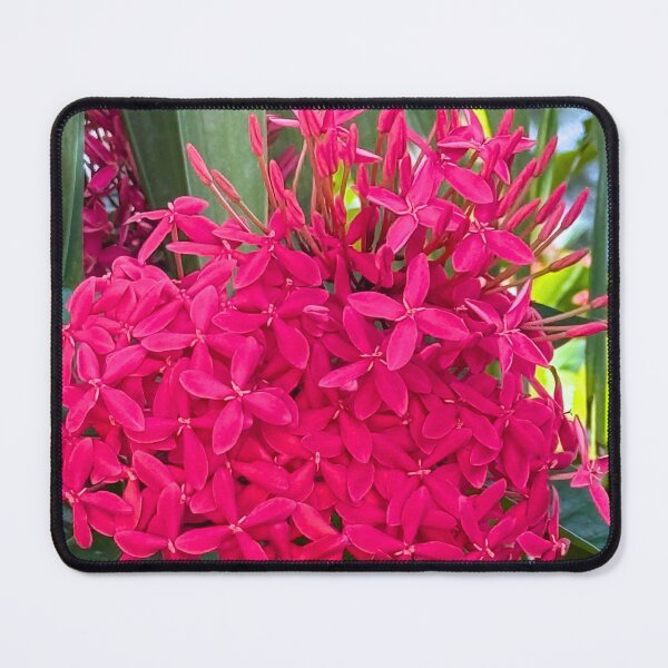 Item preview, Belize Pink Flowers designed and sold by Swooncake Press.
