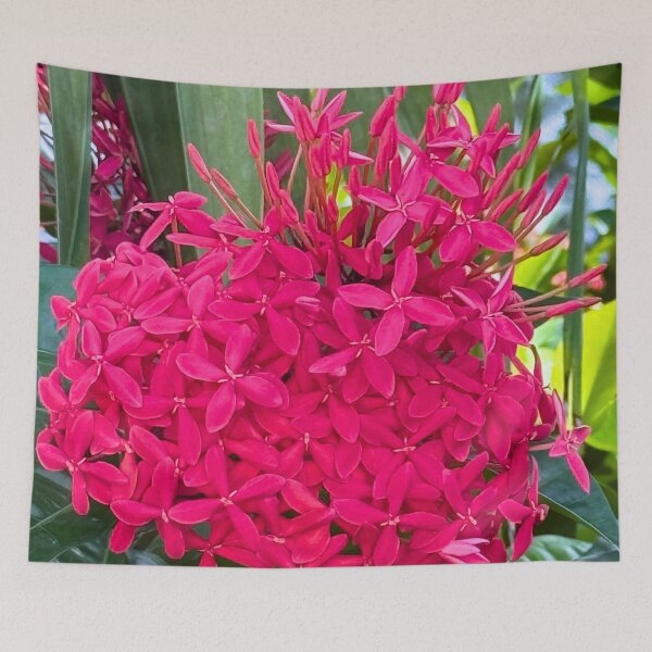 Item preview, Belize Pink Flowers designed and sold by Swooncake Press.