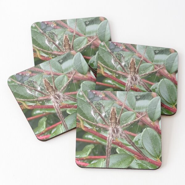 Item preview, Nursery Web Spider on Dew-Kissed Leaves designed and sold by Astute-Artio-Photography.