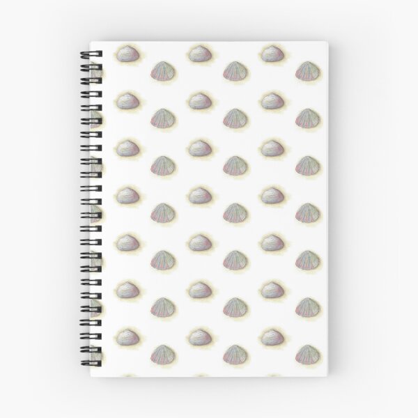 Item preview, Shells in watercolor designed and sold by Sandra  Steinke.