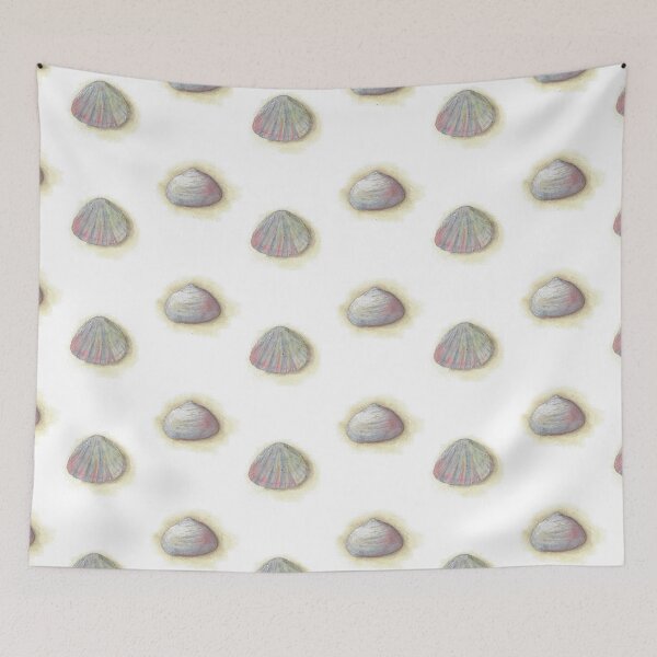 Item preview, Shells in watercolor designed and sold by Sandra  Steinke.