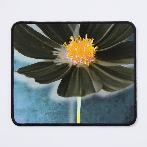 Item preview, Deep Black Cosmos Flower Botanical Blue Floral Art designed and sold by Sharon Cummings Art.