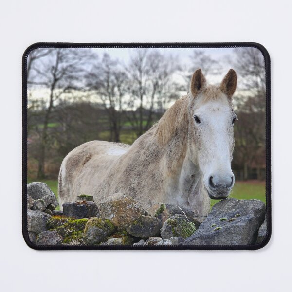 Item preview, The Muddy Mount designed and sold by Kat Simmons.