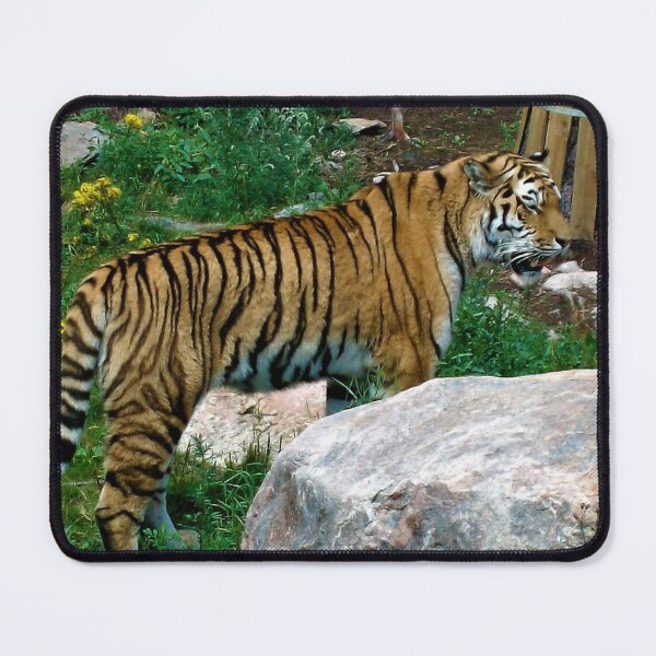 Item preview, Tiger designed and sold by Zvezdana.