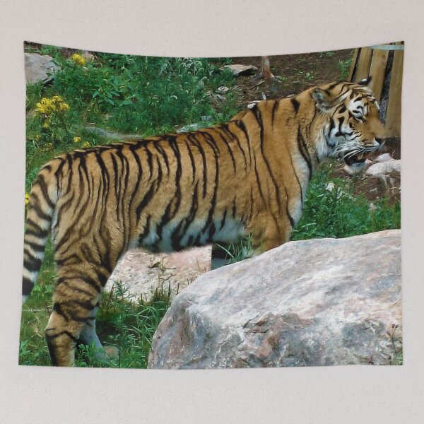 Item preview, Tiger designed and sold by Zvezdana.
