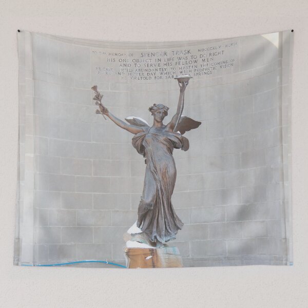 Item preview, Sprit of Life Pre-restoration  designed and sold by Perspective Wings.