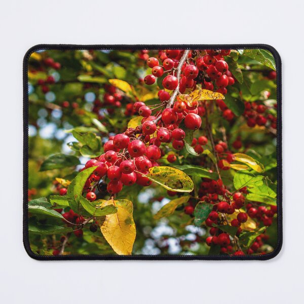 Item preview, Crimson Berries In Autumn designed and sold by AutumnLeAnnDesigns.