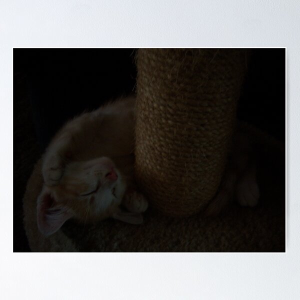 Kitty Knows Poster