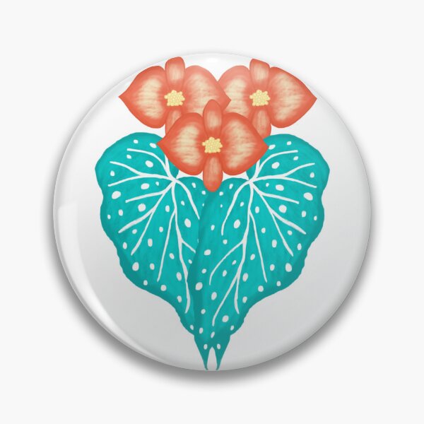 Item preview, Begonia 'Orange Rubra' designed and sold by PriAlba.