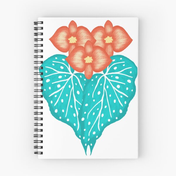 Item preview, Begonia 'Orange Rubra' designed and sold by PriAlba.