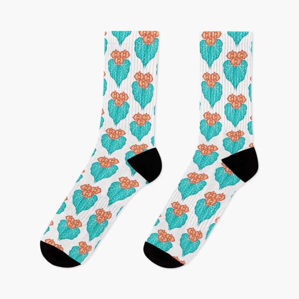 Item preview, Begonia 'Orange Rubra' designed and sold by PriAlba.