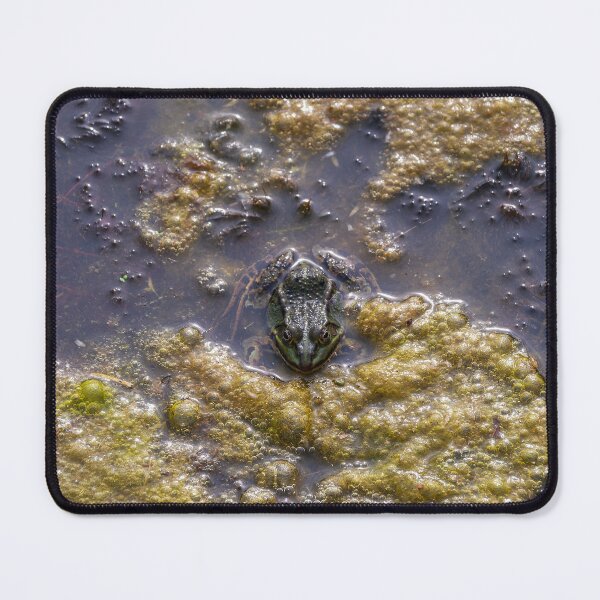 Item preview, Prince Charming Waiting for You! designed and sold by Kasia Design.