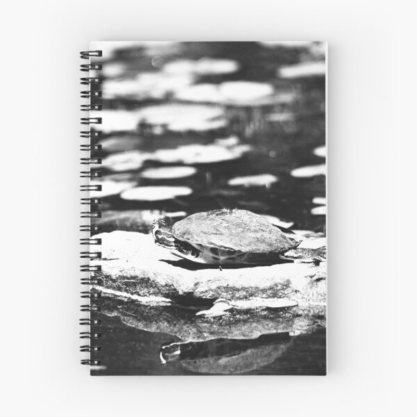 Item preview, Turtle Basking on a Rock designed and sold by Cynthia48.