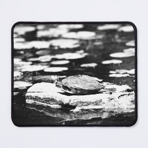 Item preview, Turtle Basking on a Rock designed and sold by Cynthia48.