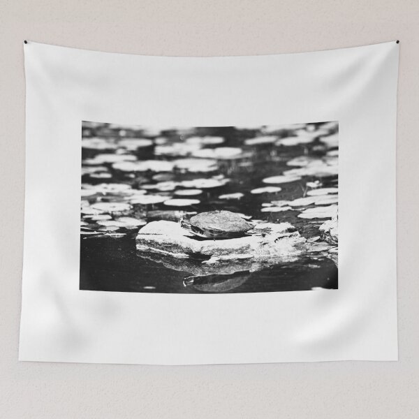 Item preview, Turtle Basking on a Rock designed and sold by Cynthia48.