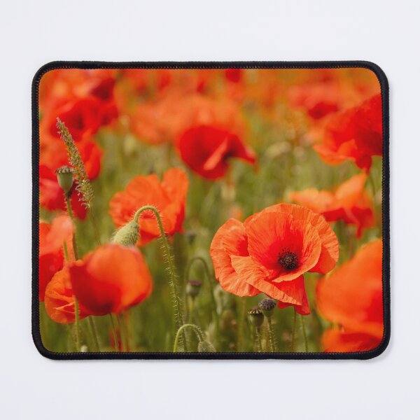 Item preview, North Norfolk Poppies designed and sold by dp-images.