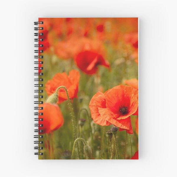 Item preview, North Norfolk Poppies  designed and sold by dp-images.