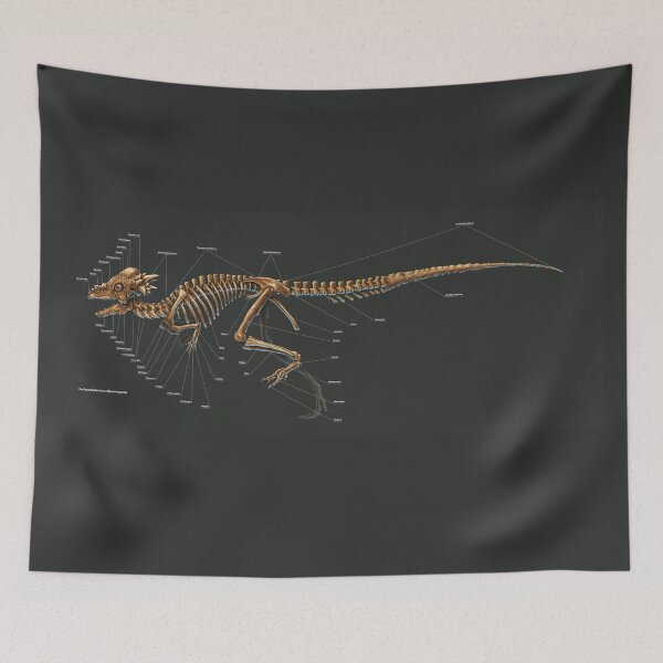 Item preview, Pachycephalosaurus Wyomingensis Study designed and sold by Thedragonofdoom.
