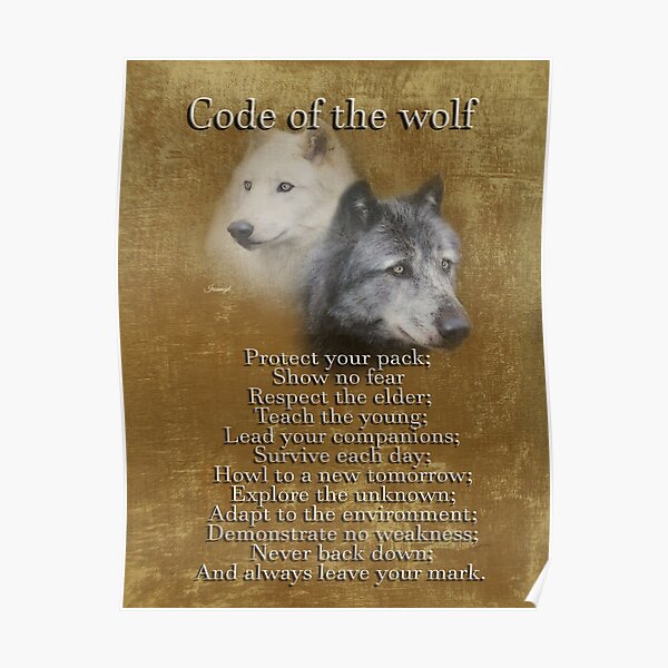 Code Des Wolfes Poster Von Irisangel Redbubble