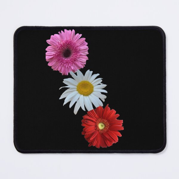 Item preview, Trio Gerbera Daisy Blossom Cluster Cutout designed and sold by BalkanBloom.