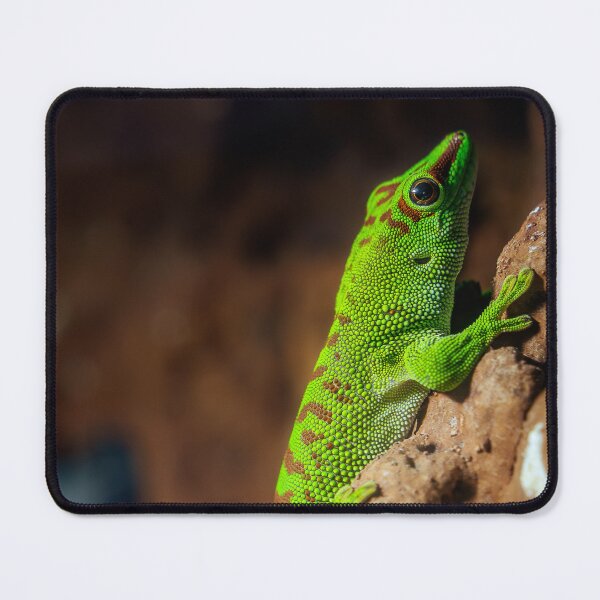 Item preview, Gold Dust Day Gecko Portrait designed and sold by Rabee Khalil Photography.