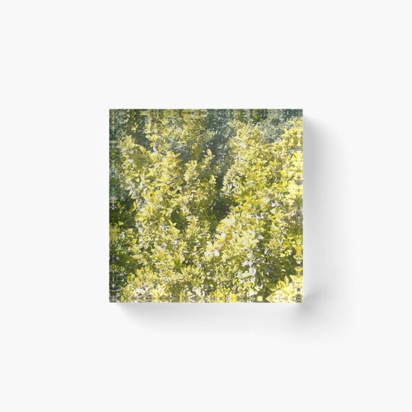 Item preview, yellow leaves designed and sold by Riyou163.