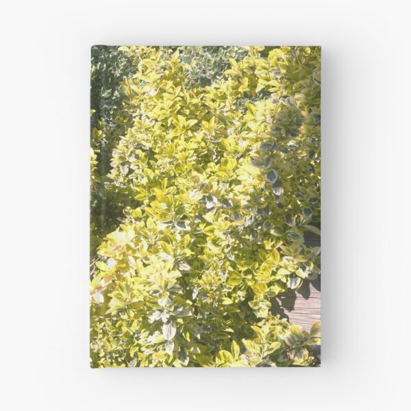 Item preview, yellow leaves designed and sold by Riyou163.