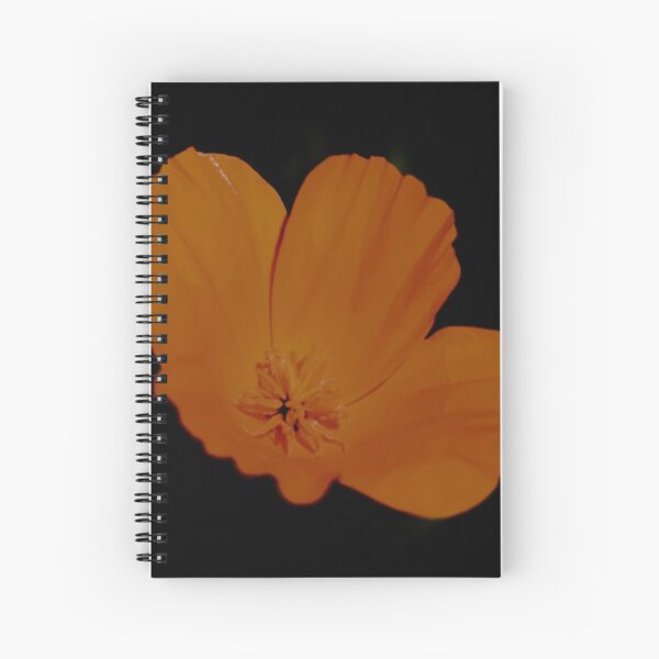 California Poppy On Black Spiral Notebook