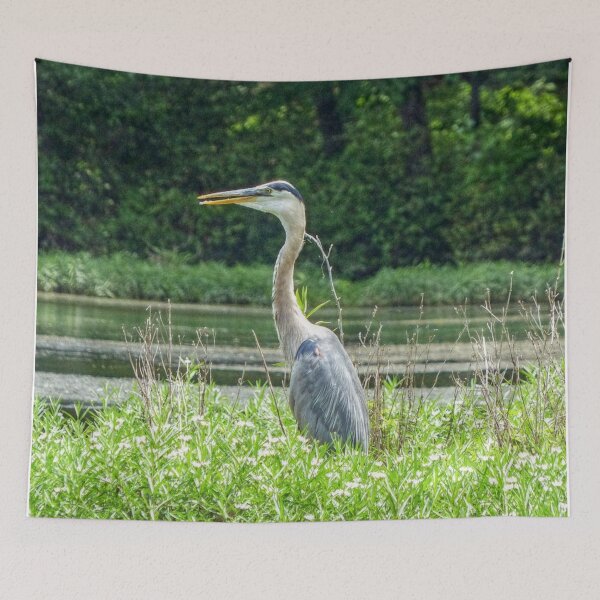 Item preview, Great Blue Heron designed and sold by Frankie Cat Photography.