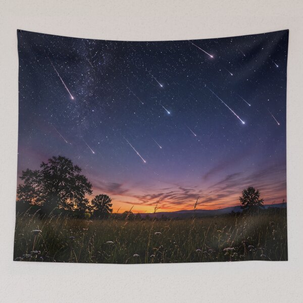 Item preview, Meteor Shower Twilight Meadow Fine Art Night Sky Photography Wall Art Gift for Stargazers designed and sold by Nightarel.