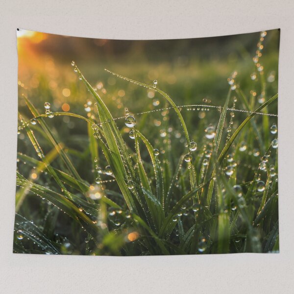 Item preview, Morning Dew Grass Macro Photography Fine Art Nature Print Wall Art Gift for Nature Lovers designed and sold by Nightarel.