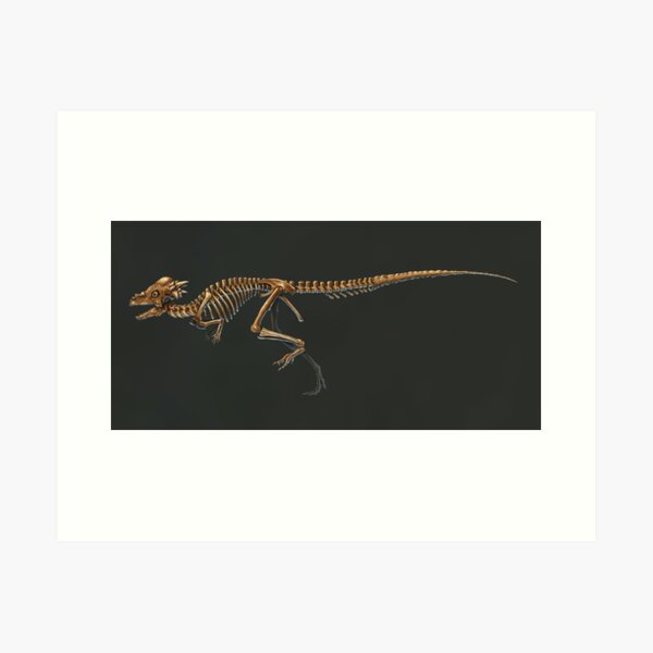 Pachycephalosaurus - M.RArts - Drawings & Illustration, Animals, Birds, &  Fish, Dinosaurs, Other Dinosaurs - ArtPal