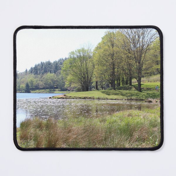 Item preview, Bass Lake North Carolina Landscape designed and sold by amusefullife.
