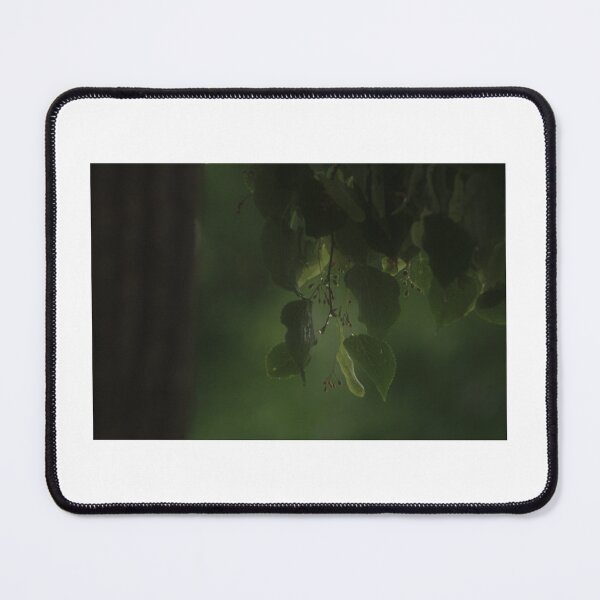 Item preview, Isolation of a rainy leaf designed and sold by attora1.
