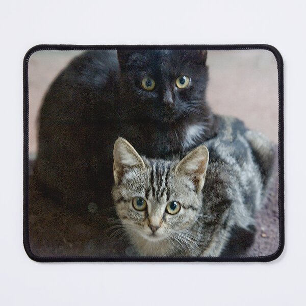 Item preview, Two Cute And Cuddly Kittens Waiting For Tuna designed and sold by DEC02.