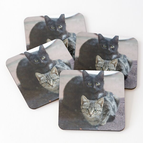 Item preview, Two Cute And Cuddly Kittens Waiting For Tuna designed and sold by DEC02.