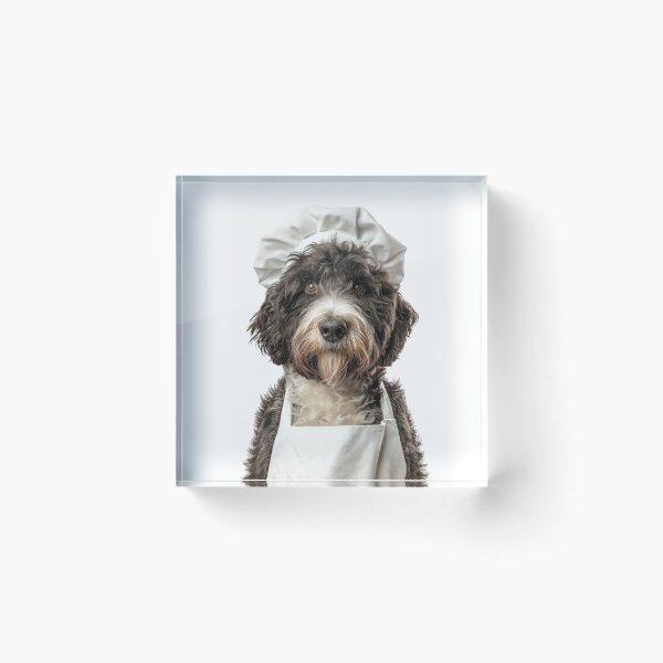Item preview, Barbet Chef Dog Funny Cooking Apron Hat Cute Pet Portrait designed and sold by LazyOwlStore.