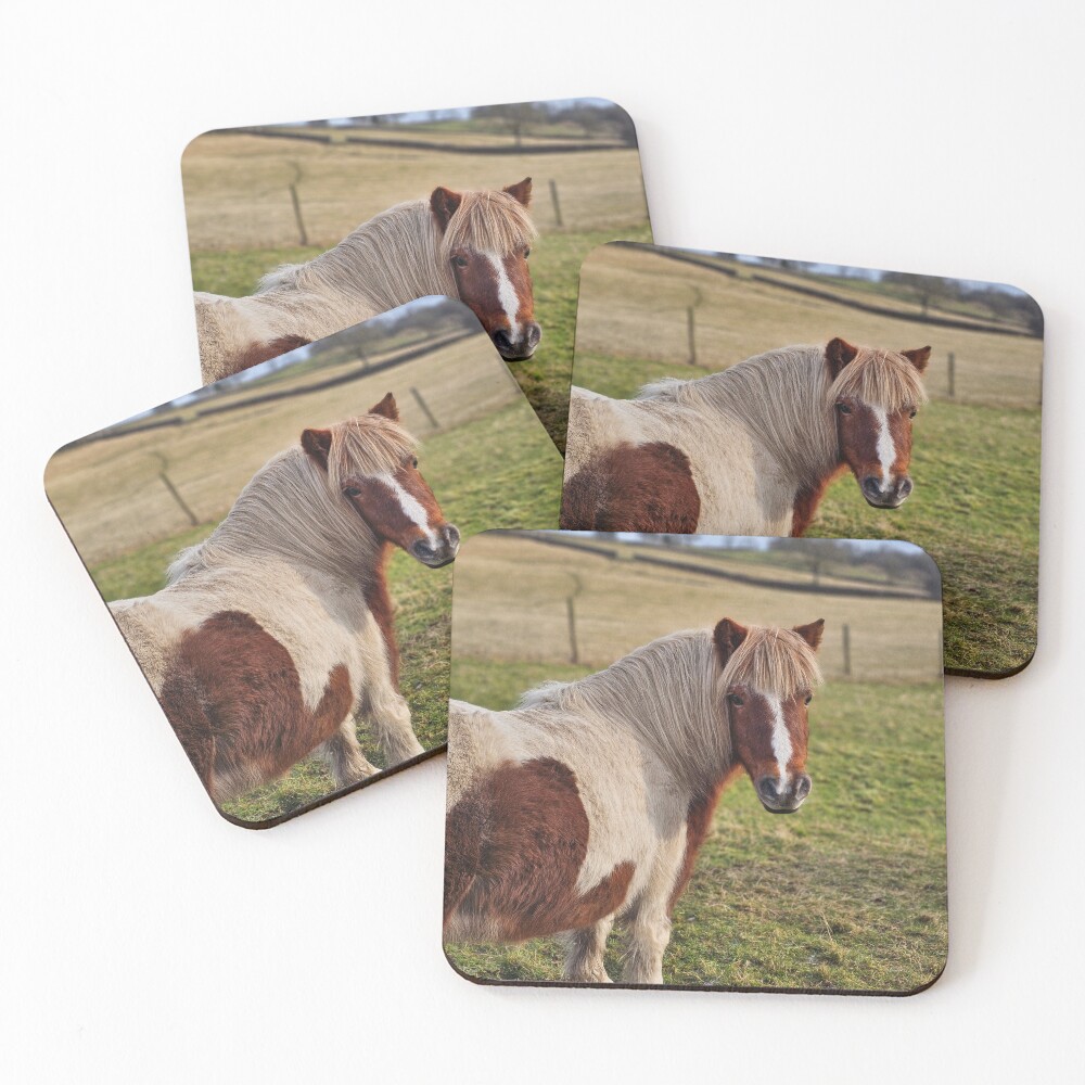 Item preview, Coasters (Set of 4) designed and sold by venturousfeli.