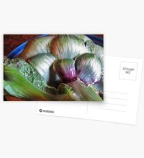 Artichoke Postcards